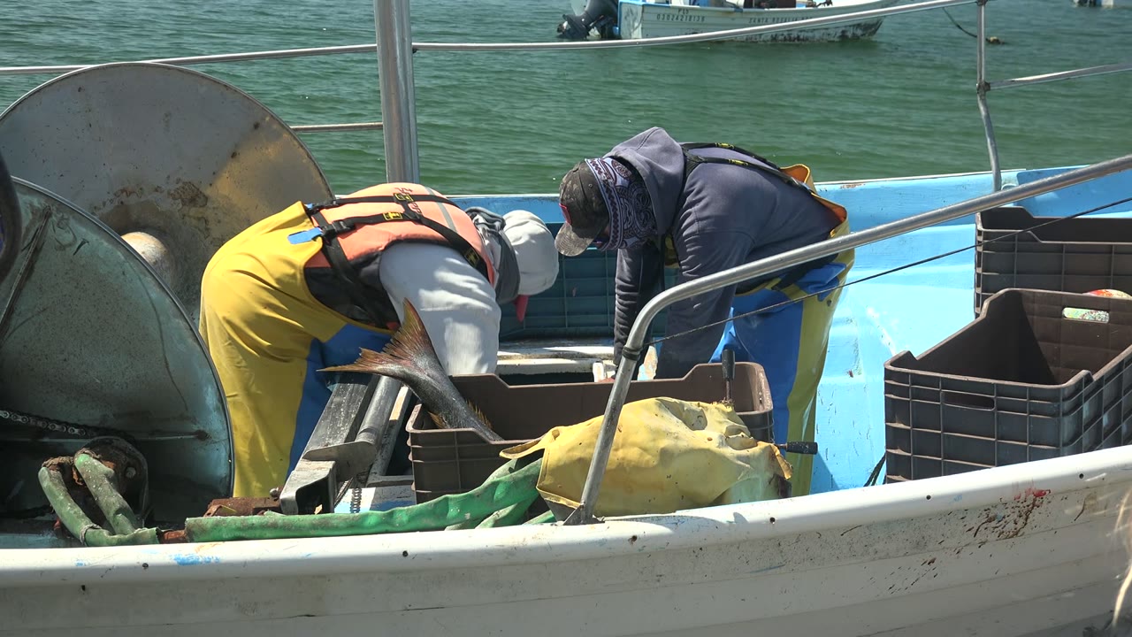Two fishermen in life vests and waterproof pants lean over a large fish on a blue boat in La Bocana, Baja California Sur, with crates and ocean water behind them.