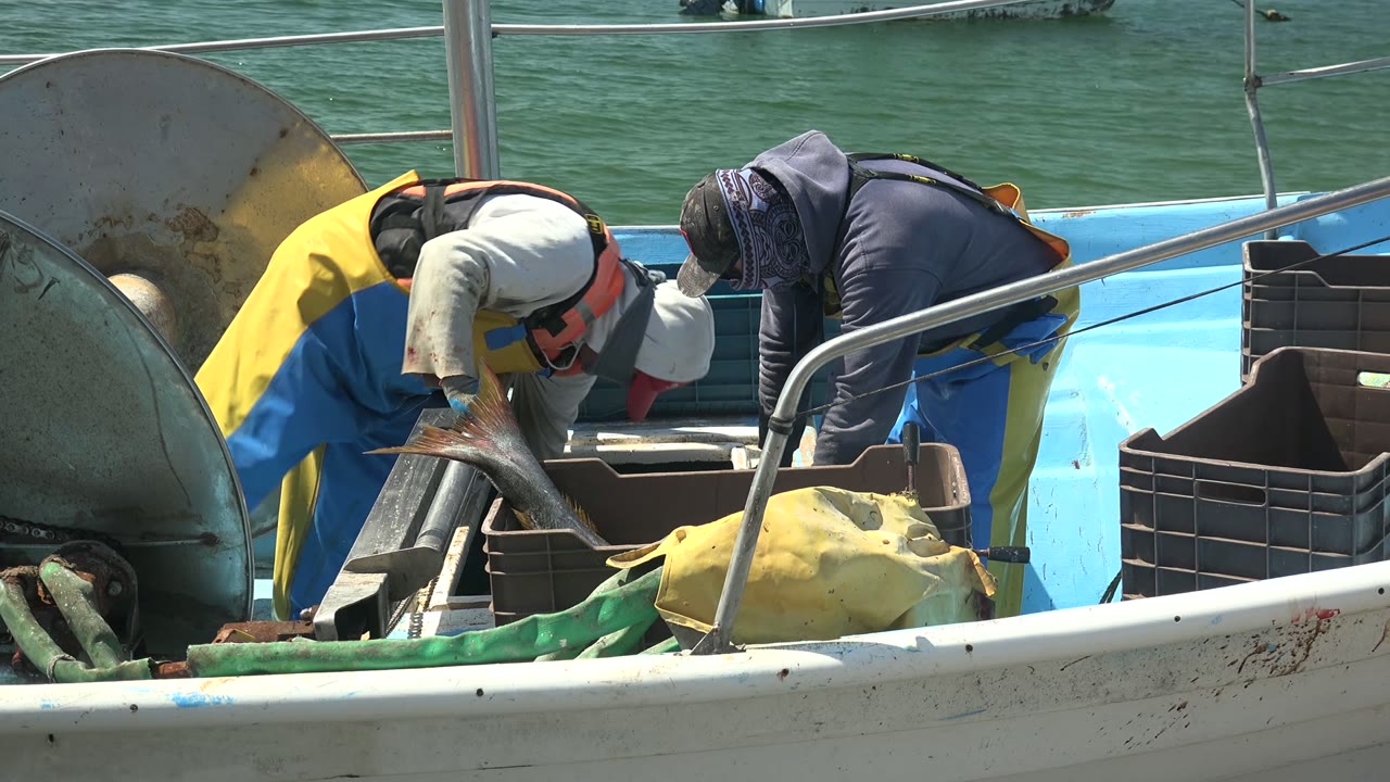 Fishermen work over a large fish beside crates on the boat deck.