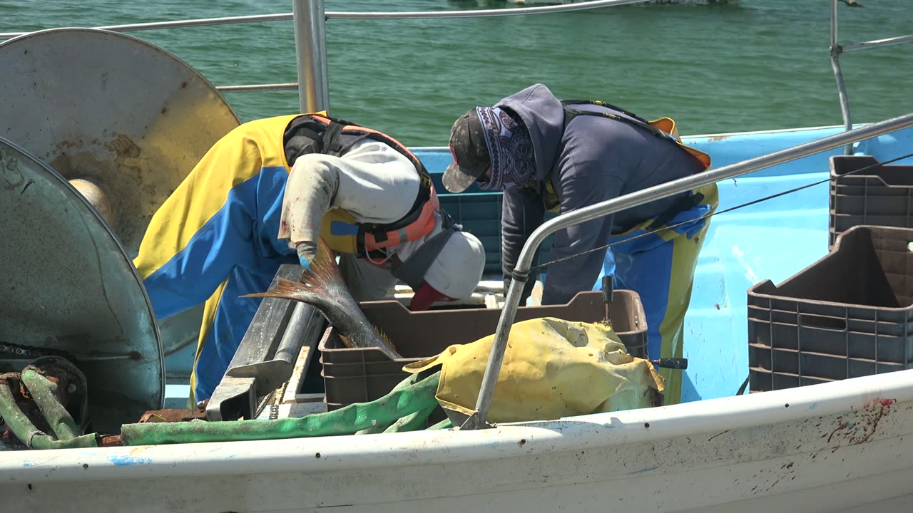 Two fishermen in hats and protective gear lean across the blue deck in La Bocana as the large fish lies near crates, railings, and a yellow deck covering.