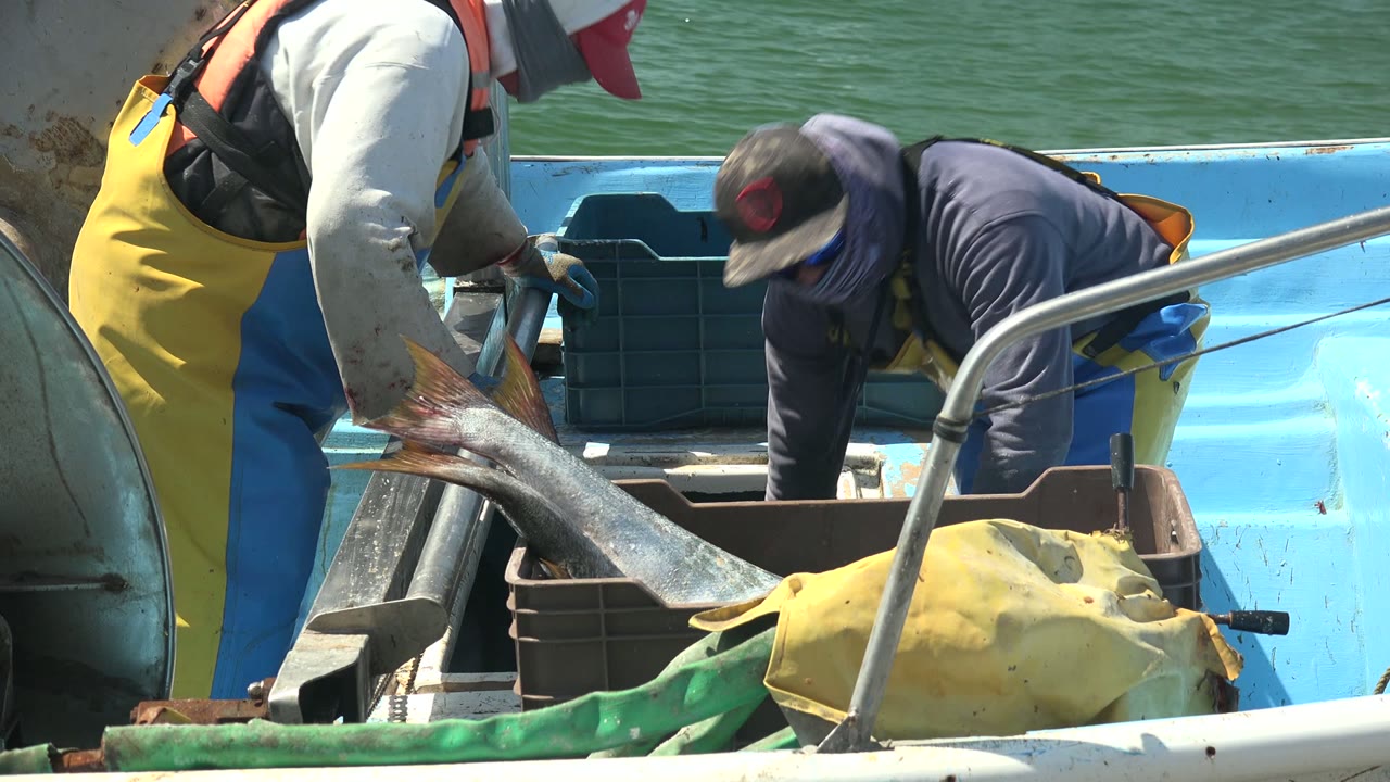 Two fishermen lean over a large fish beside crates and a curved metal rail on a small blue boat in La Bocana, Baja California Sur.