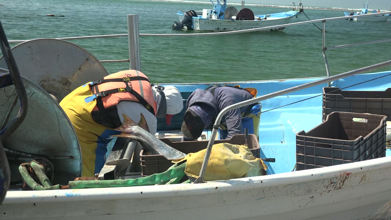 Two fishermen in life vests work inside a small blue-and-white boat in La Bocana, Baja California Sur, with a large fish, crates, railings, and ocean water visible.