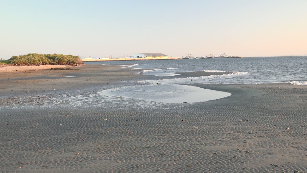 San Carlos, Baja California Sur beach at 0:00 with dark rippled sand in the foreground, a curved wet sand pool near the surf, distant vegetation, and no visible people.