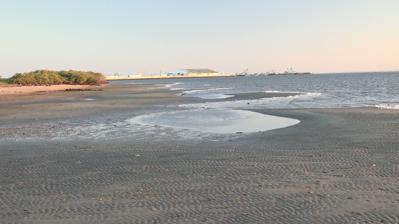 Gentle waves approach a dark sandy shoreline with low vegetation at left.