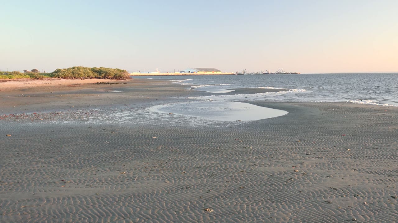 Dark rippled sand and shallow surf on a San Carlos, Baja California Sur beach, with low greenery at left, distant waterfront structures on the horizon, and no visible people.
