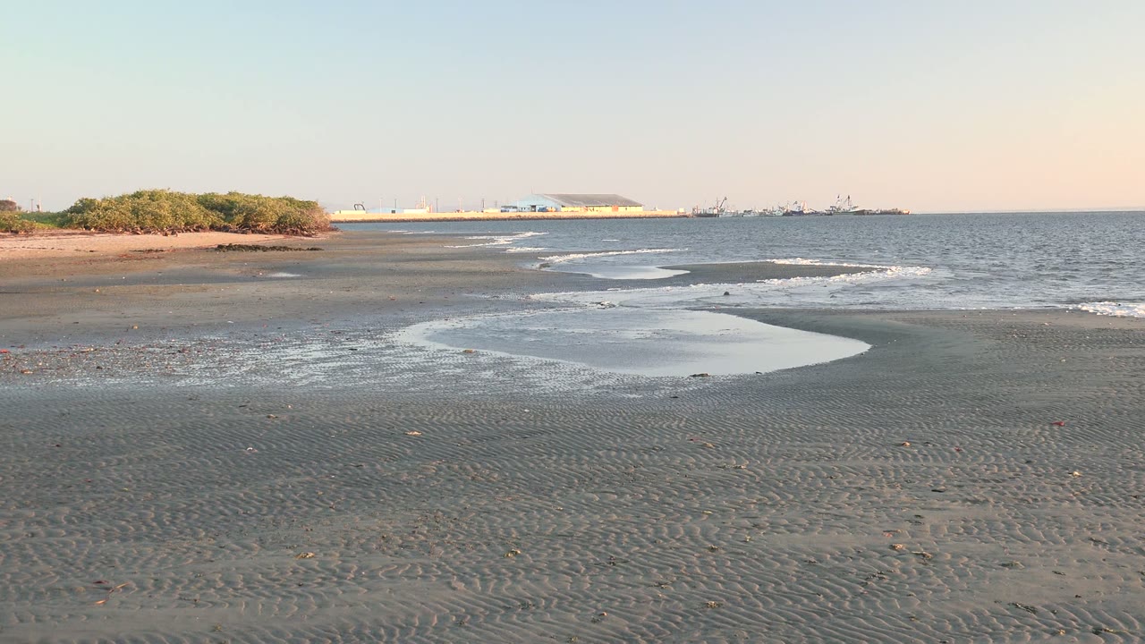 A curving band of wet sand and shallow surf sits below a level horizon in San Carlos, Baja California Sur, with low shrubs at left and no visible people.
