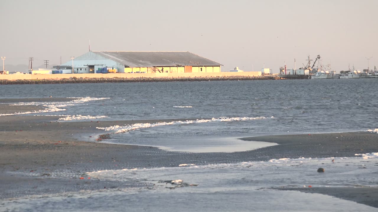 Wide low view of wet beach sand, small waves, and a pale coastal building on a breakwater in San Carlos, Baja California Sur, with no visible people.