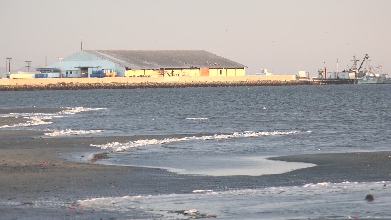 Gentle surf and wet shoreline with the breakwater building centered in the distance.