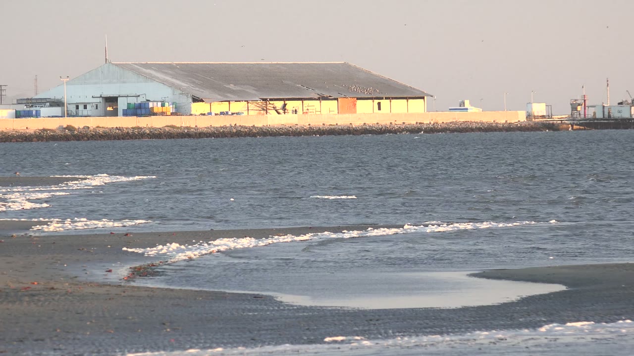 The San Carlos shoreline shows a curving wet sandbar, scattered foam, open water, and a pale warehouse-like building on the breakwater, with no visible people.