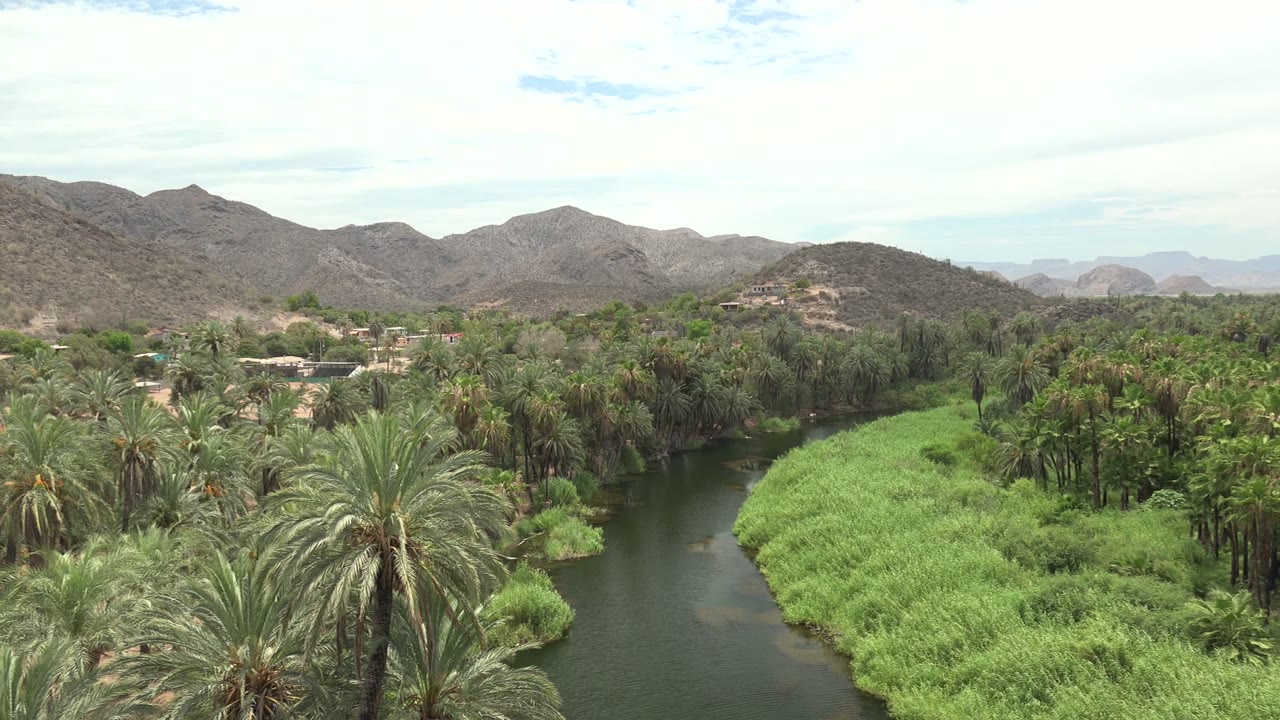 At the start of the Mulege, Baja California Sur clip, a dark river bends past bright green reeds and tall palms with dry mountains behind, with no visible people.