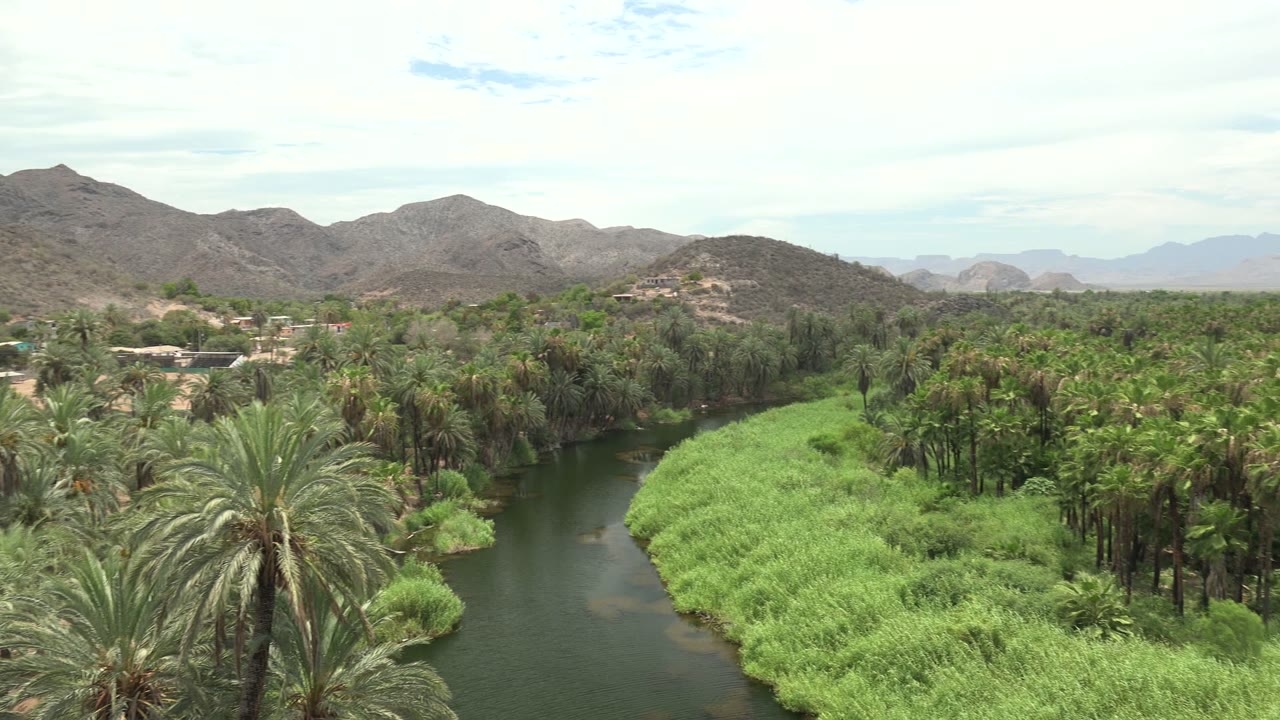 At 0:02, the frame shows a wide Mulege oasis view with the river along the left, thick green vegetation to the right, palm trunks in the middle distance, and mountains across the horizon, with no visible people.