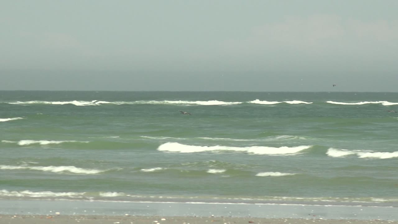 Wide La Bocana, Baja California Sur ocean view with green-gray waves breaking toward a thin sandy shore under an overcast sky, with no visible people.