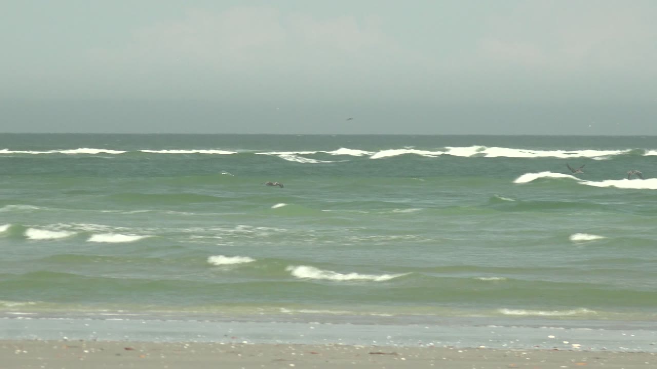 Wide coastal view in La Bocana with choppy whitecaps across the ocean and small distant seabirds visible against the muted sky and water, with no visible people.