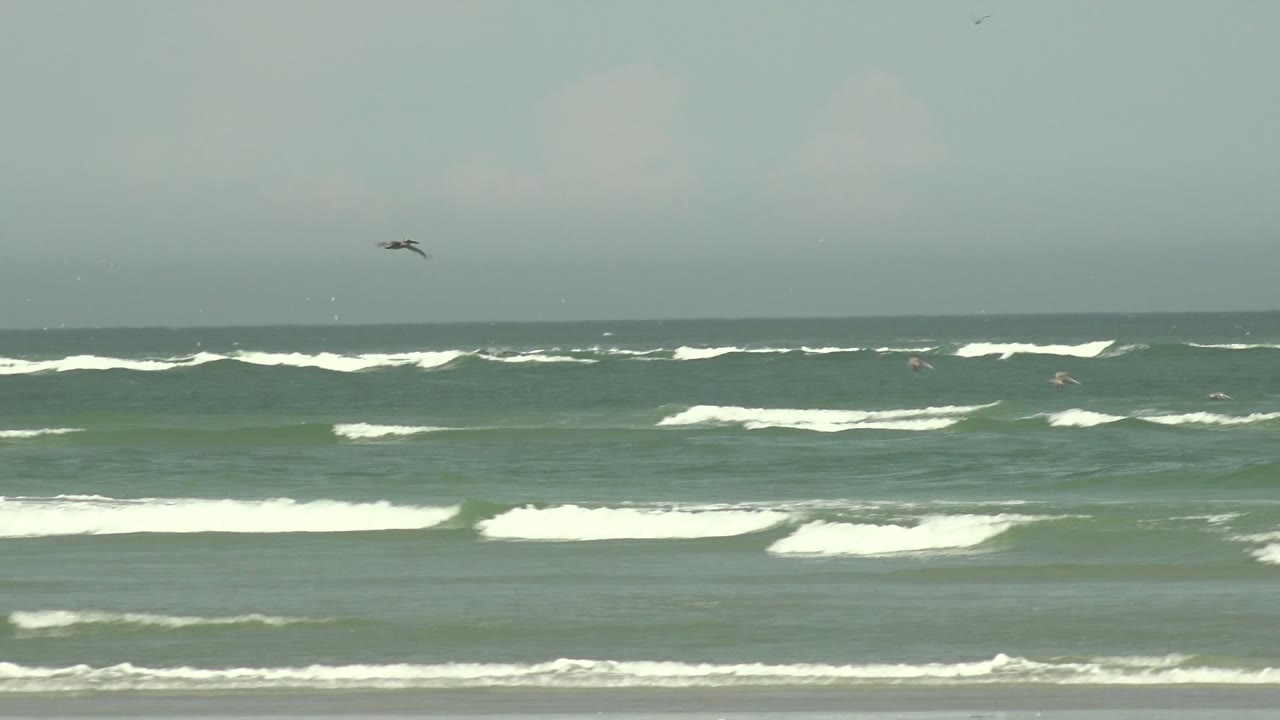 A seagull flies over green-blue breaking waves at La Bocana, Baja California Sur, with a pale clouded sky and distant surf behind it.