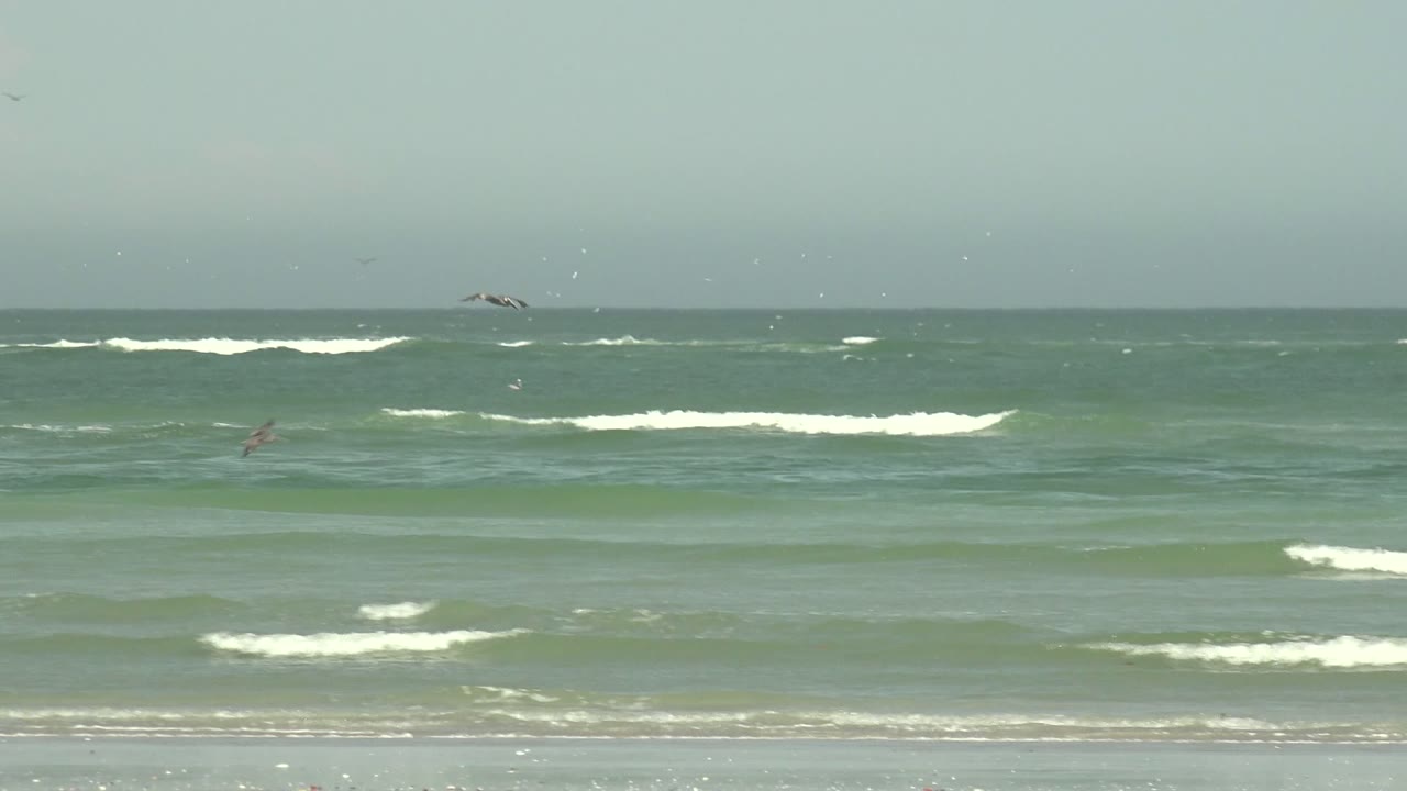 Opening frame of La Bocana, Baja California Sur surf with seagulls above green-blue water, whitecaps across the middle, wet sand below, and no visible people.