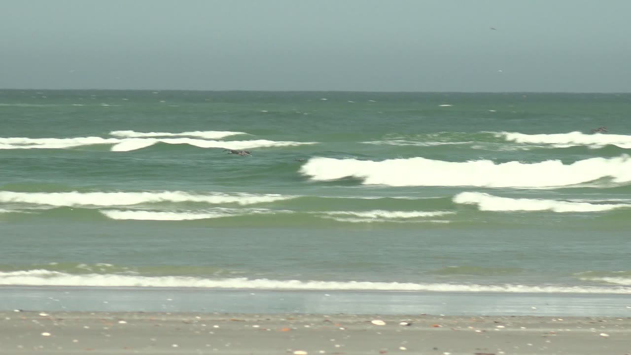 Wide view of La Bocana surf with green-blue water, white breaking waves, wet sand at the bottom edge, and no visible people in the frame.