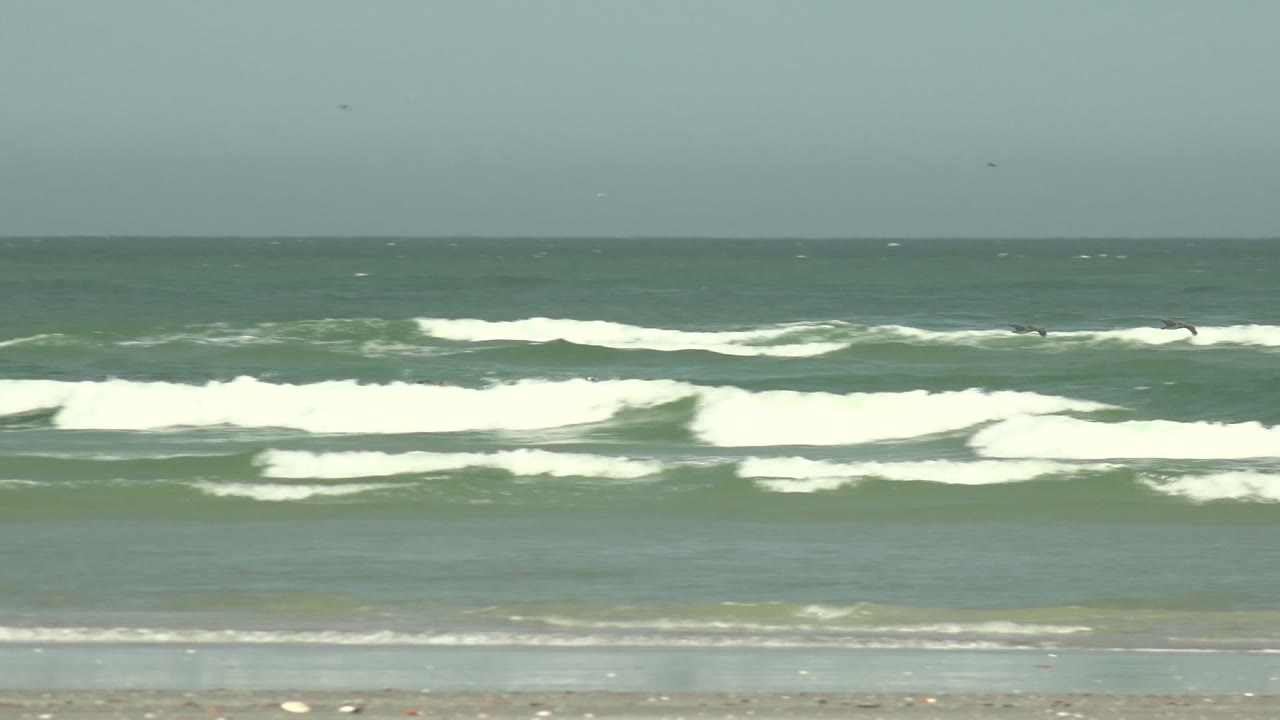 Birds fly above breaking waves and distant surfers.
