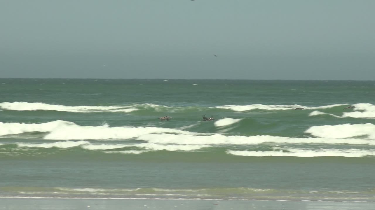 Wide La Bocana shoreline frame with birds spread across the upper sky, white surf bands rolling toward shore, and tiny dark figures far offshore with no recognizable people visible.