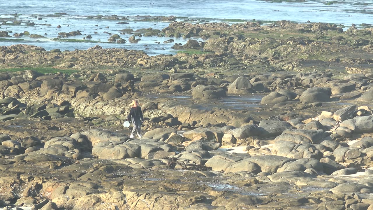 Person stepping among rocks on a coastal shelf near shallow water.