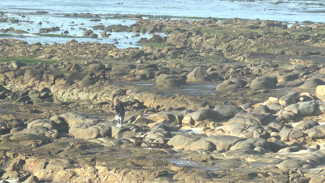 A person in dark clothing walks across rounded rocks and shallow tide pools on the La Bocana, Mexico shoreline at the start of the clip.