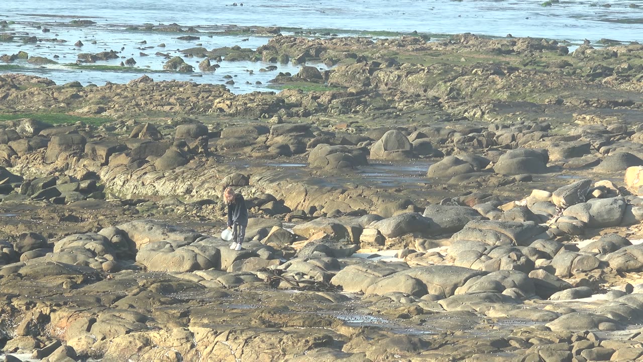Walker stepping over uneven rocks near shallow coastal water.