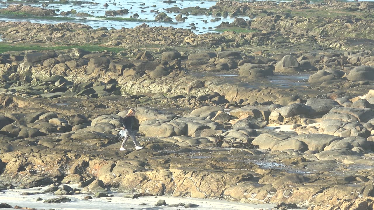 Person standing on rocks and raising an arm near tide pools.