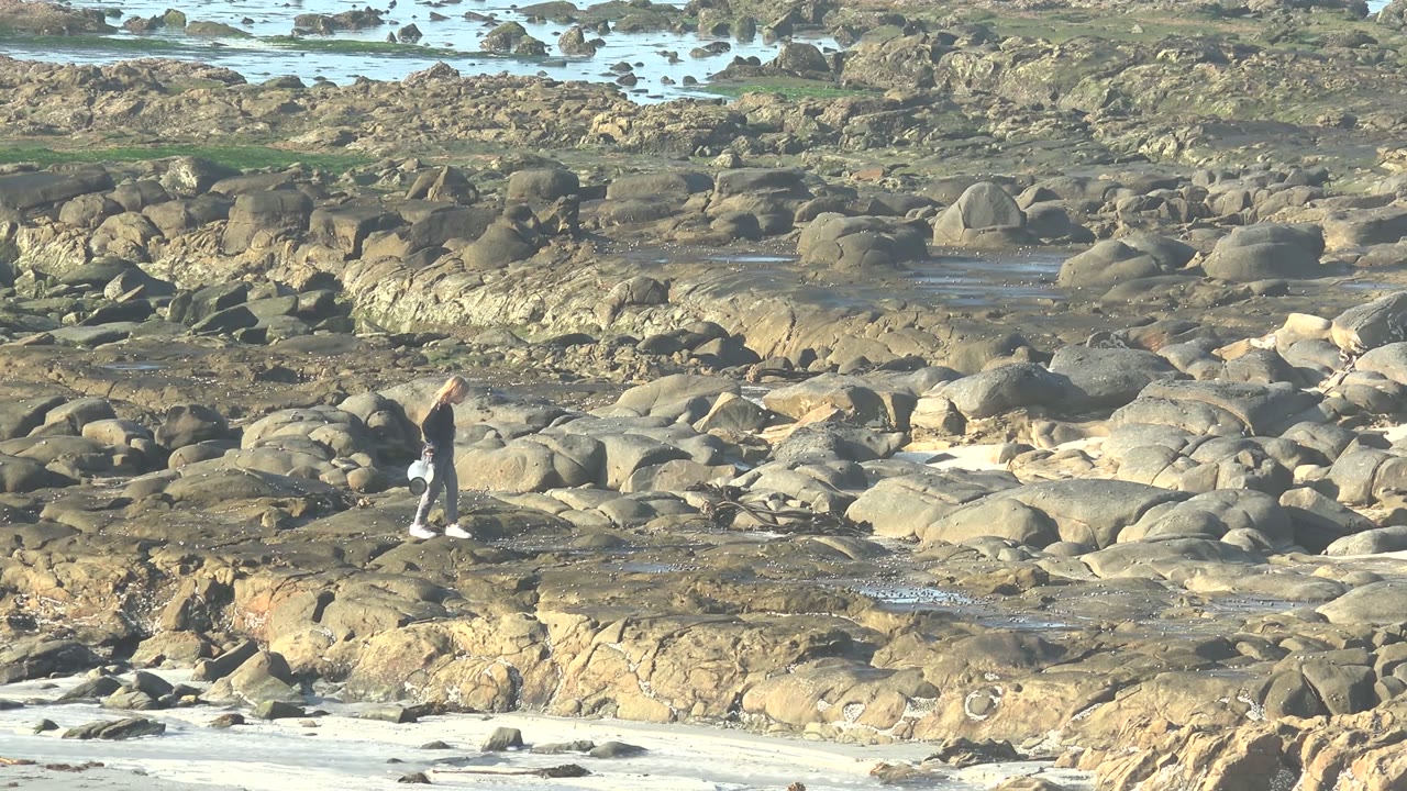 A person in dark clothing and light pants stands on the rocky La Bocana shore, surrounded by rounded boulders and thin pools of seawater.