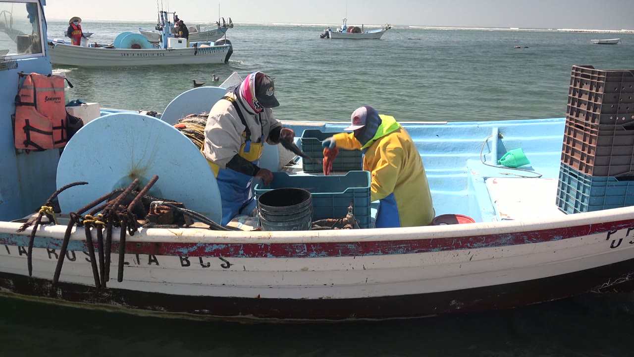 Two crew members in a blue fishing boat at La Bocana lean over a crate, with rope gear, buckets, another boat, sea birds, and ocean water visible behind them.