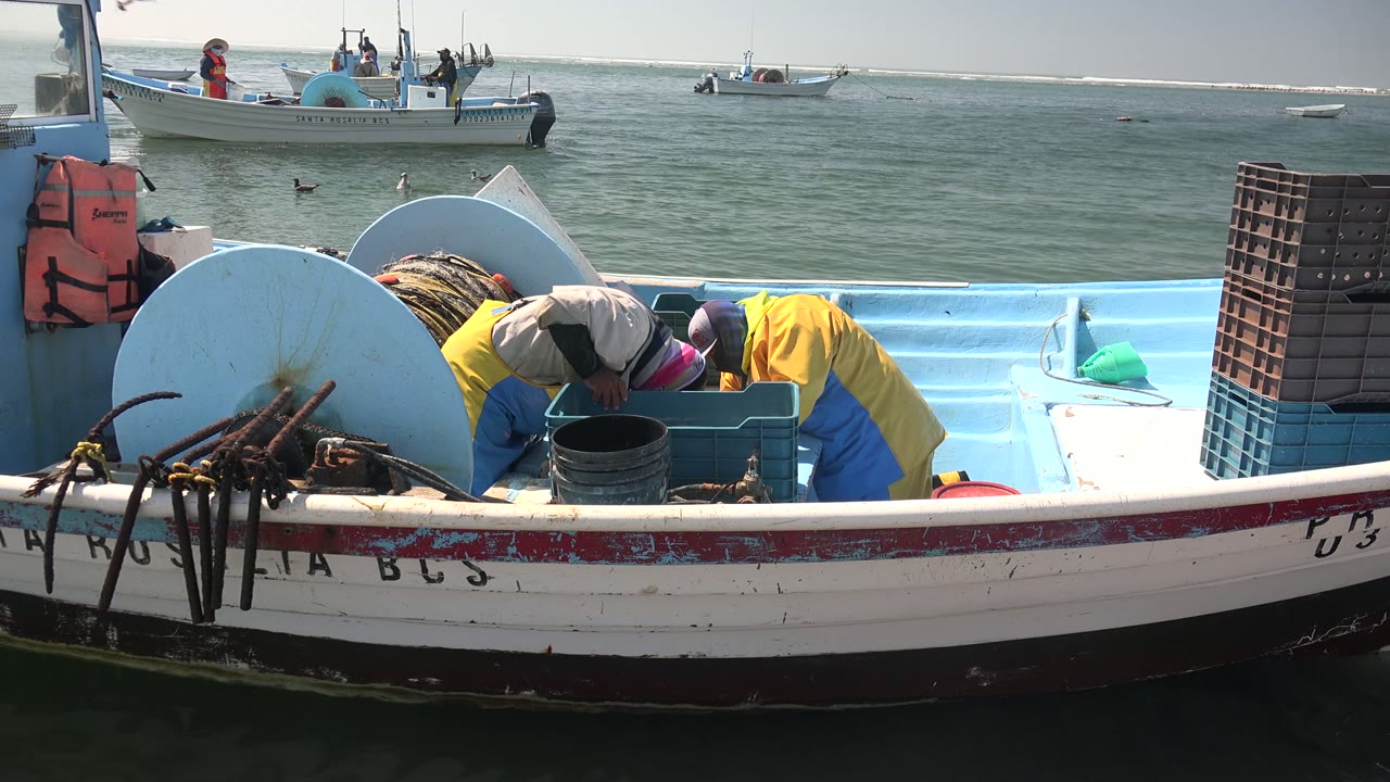 The crew in La Bocana leans farther into the crate, with the pale blue boat interior, white rail with partial markings, black bucket, ropes, and calm water behind them.