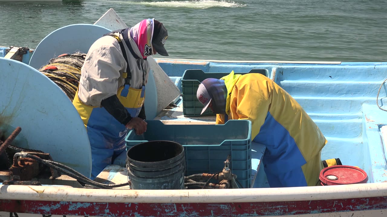 One fisherman bends toward a blue crate while another stands nearby.