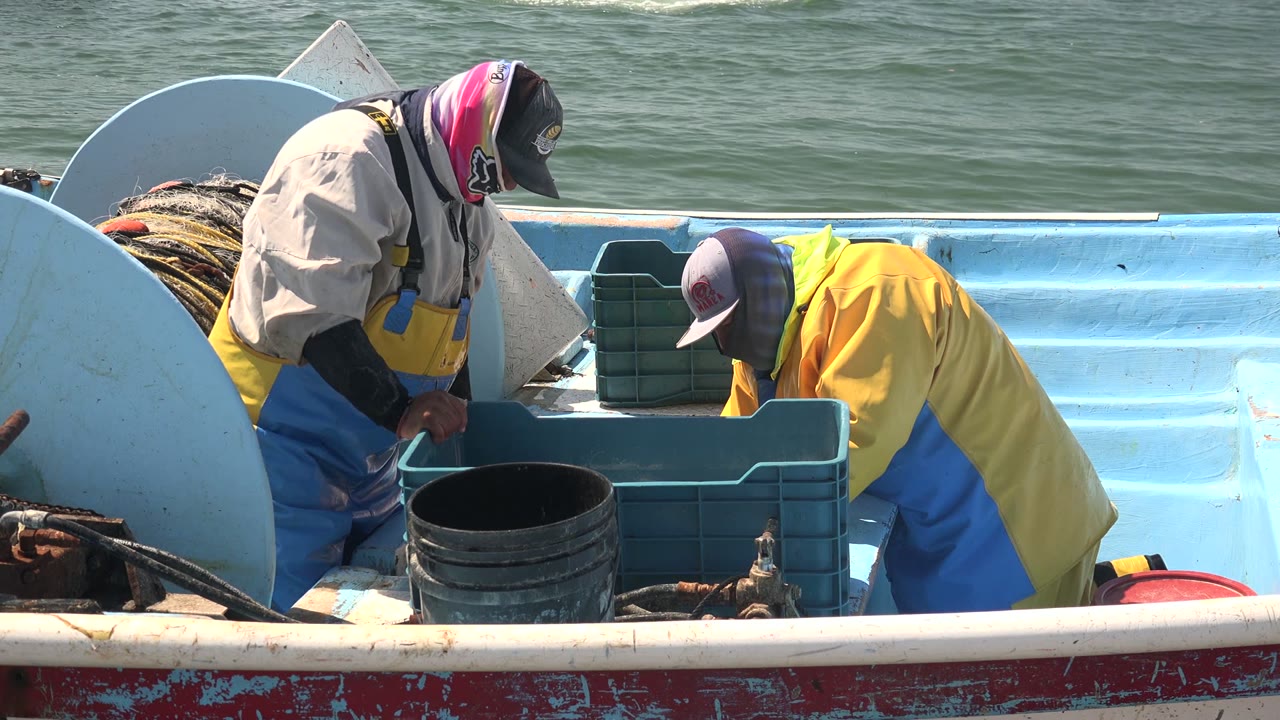 At La Bocana, Baja California Sur, both fishermen remain at the blue crate station, with the right worker bent over and calm green water visible beyond the boat.