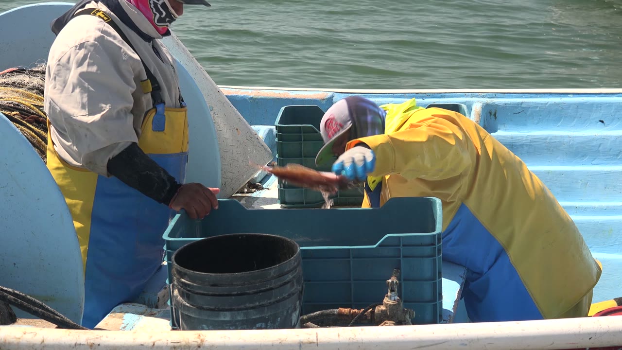 One fisherman reaches toward the crate while another stands beside it.
