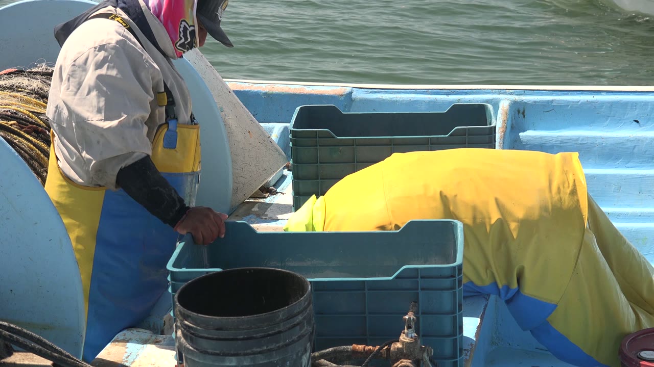 The workers remain bent over the blue crate on the La Bocana boat, with a black bucket in front and sunlit ocean water across the background.