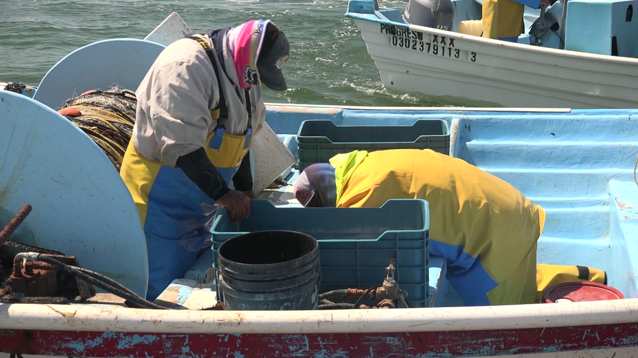 Fishermen working around crates and a bucket on a small fishing boat.