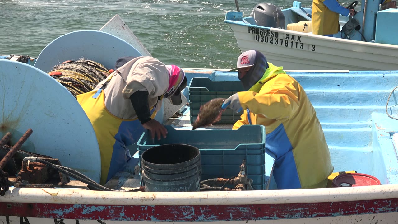 At 0:02 in La Bocana, Baja California Sur, the fisherman in a yellow coat reaches toward the sorting area while the other leans over the crates on the blue deck.