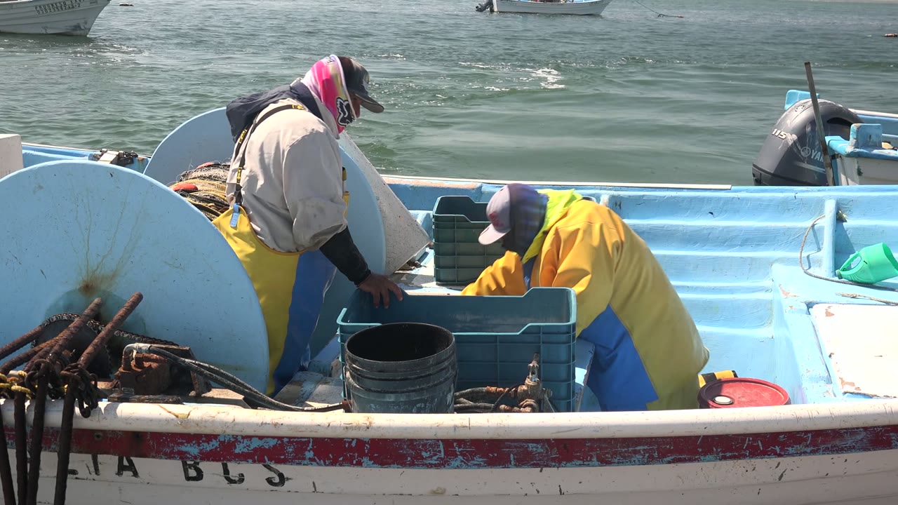 Fishermen leaning over crates inside a small fishing boat.