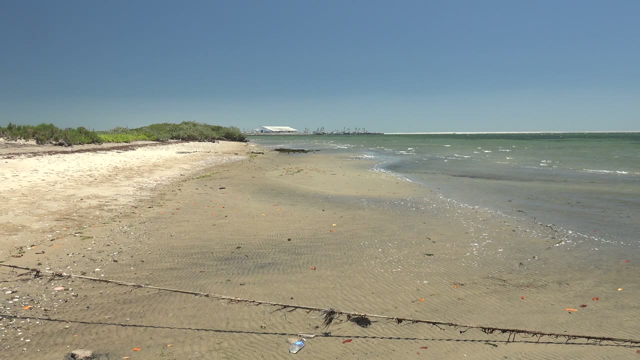 At 0:00 in San Carlos, Baja California Sur, wet sand leads to shallow waves, low green vegetation, a distant light-colored structure, and clear blue sky with no visible people.