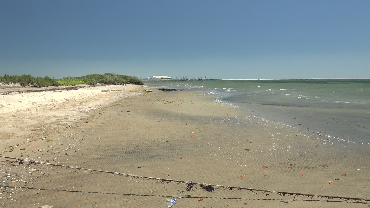 Gentle surf curls across wet sand beside low coastal greenery and a distant structure.