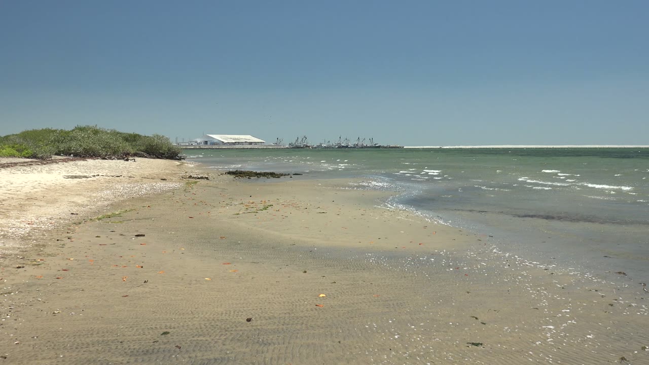Sandy shoreline in San Carlos, Baja California Sur with low vegetation at left, pale green water, distant structures and cranes on the horizon, and no visible people.