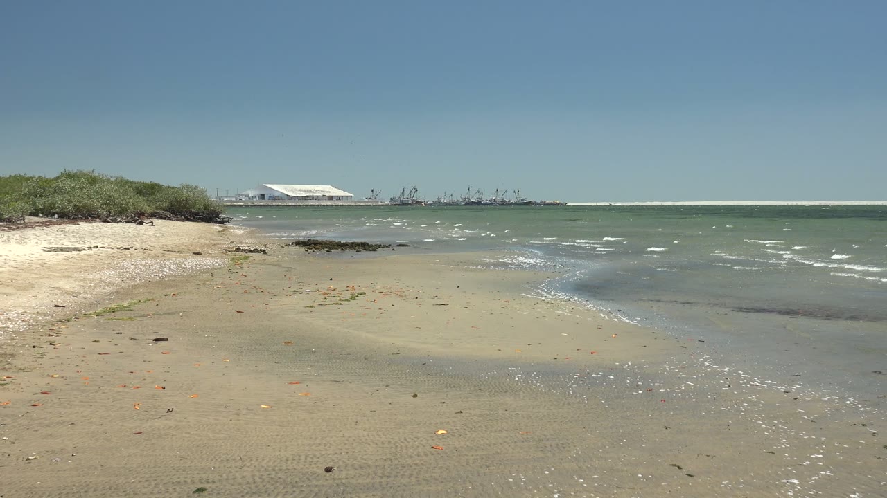Sandy shore with small waves curling toward the beach and distant cranes beyond the water.
