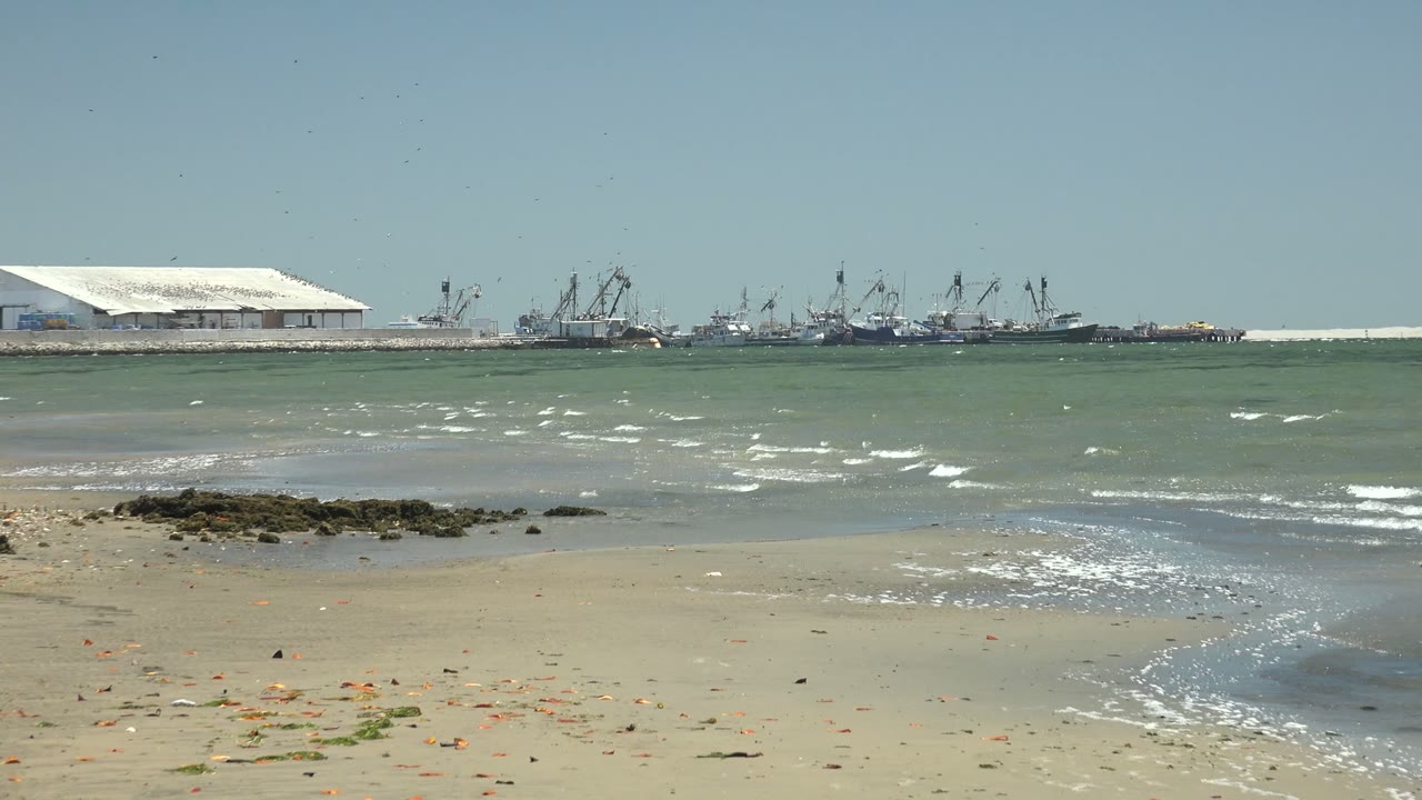 San Carlos, Baja California Sur beach view at the start of the clip with pale sand, low rocks, gentle surf, distant port cranes, a white-roofed building, and no visible people.
