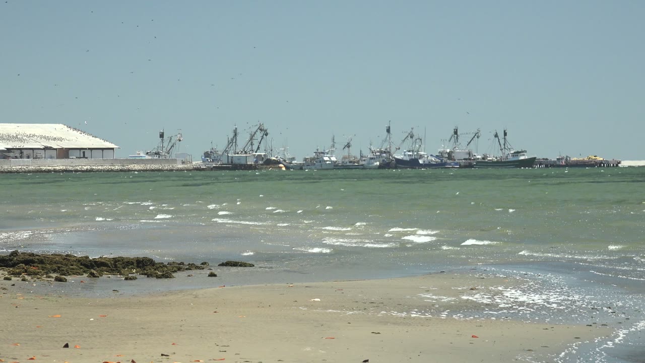 San Carlos, Baja California Sur coastal frame with exposed rocks centered near the shore, choppy green water, a white-roofed port building to the left, distant cranes, and no visible people.