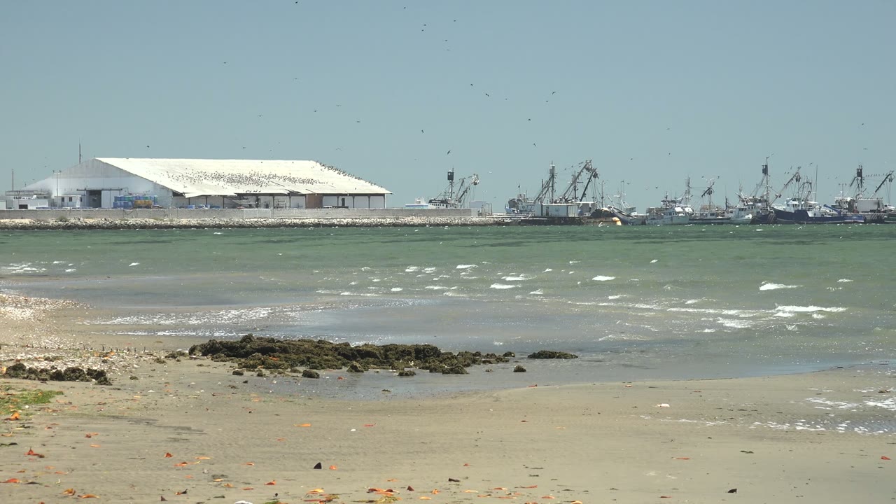 San Carlos, Baja California Sur beach with pale sand, shallow green water, a white-roofed harbor building, distant cranes, dark rocks, and no visible people at the start of the clip.