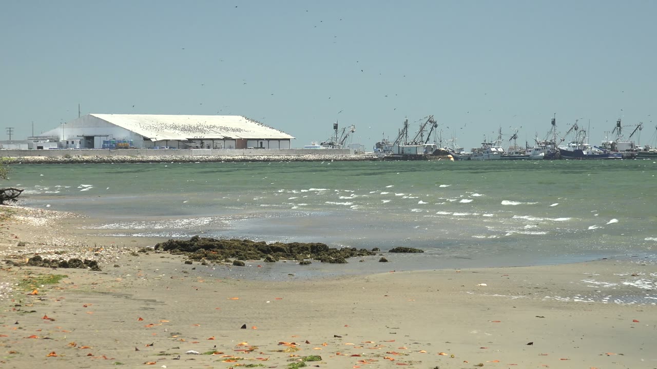 Shallow waves crossing sand with harbor building in the distance.