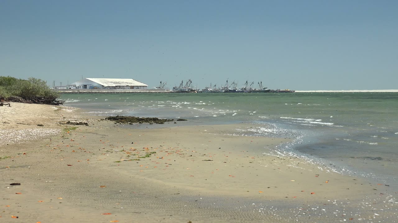 At 0:00 in San Carlos, Baja California Sur, wet sand leads to shallow green water, sparse vegetation at left, distant waterfront structures across the bay, and no visible people.