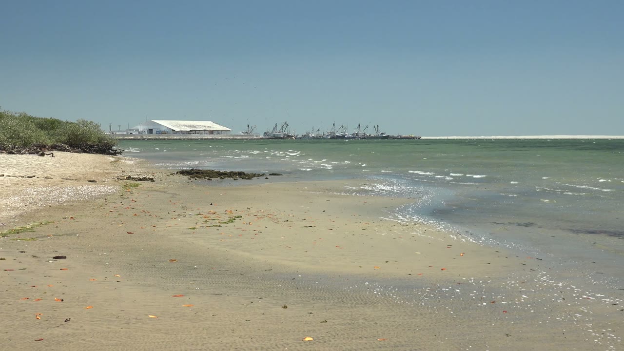 At 0:02 in San Carlos, Baja California Sur, the left-side vegetation frames a broad sandy foreground as small ripples and whitecaps move over shallow water with no visible people.