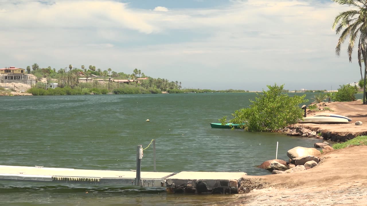 Opening frame of a Mulege, Baja California Sur waterfront with a pale dock in the foreground, green water, palms at right, distant homes at left, and no visible people.