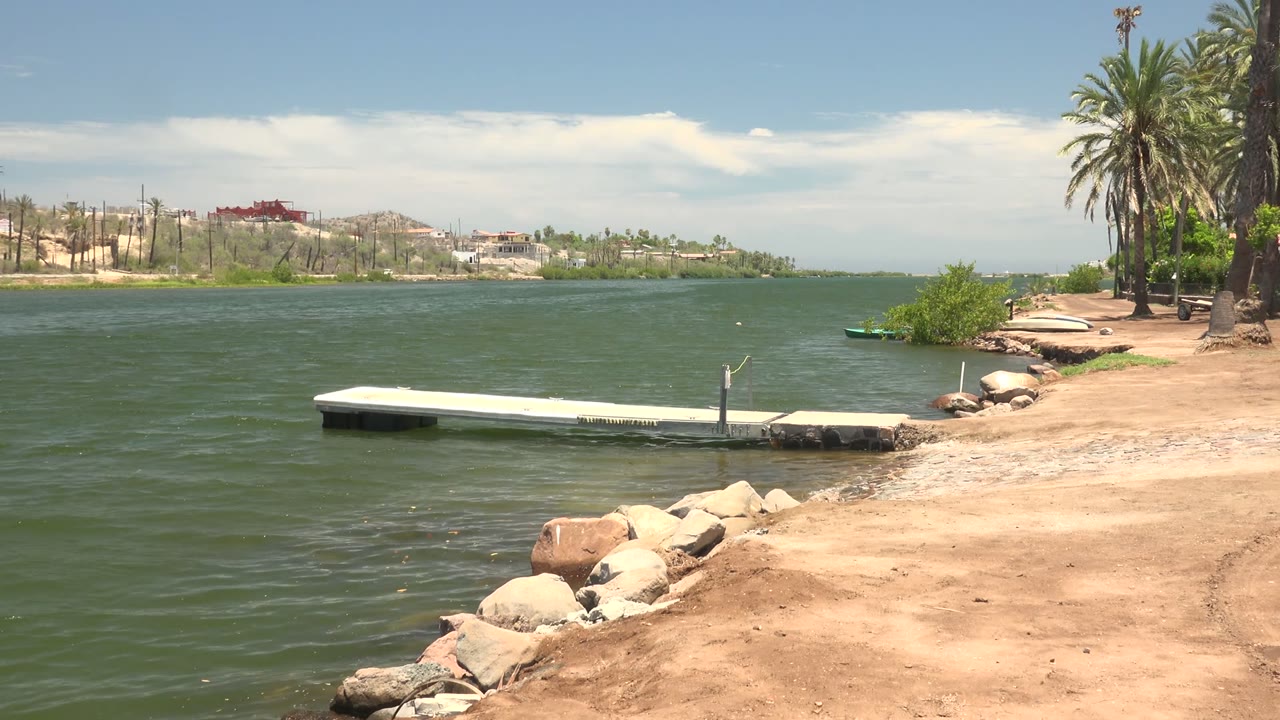White dock extending into green water with palms and distant shoreline buildings.