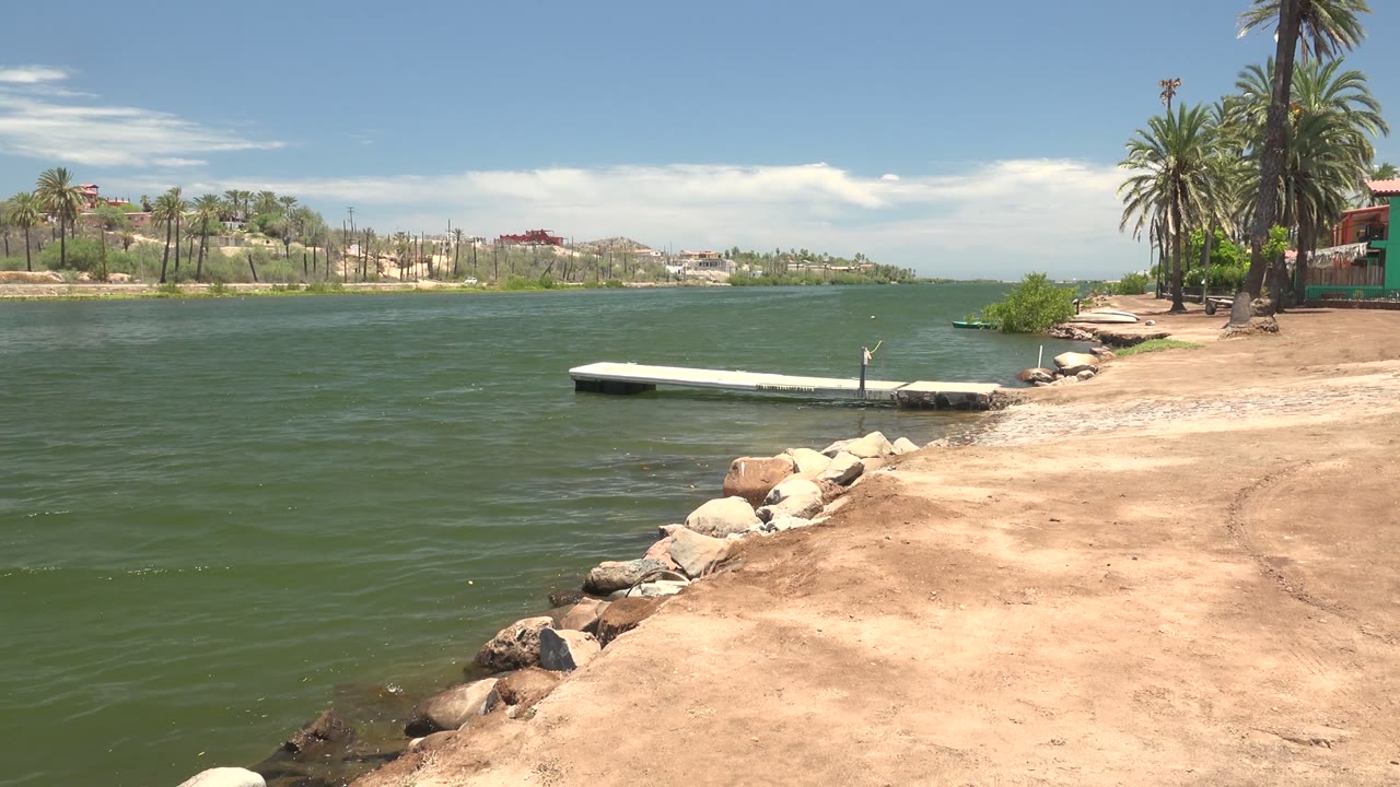 Static shoreline view with dock over green water and palms beside a sandy bank.