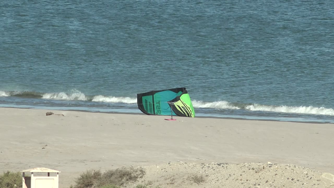 Beach kite near the shoreline with a small wave breaking behind it.