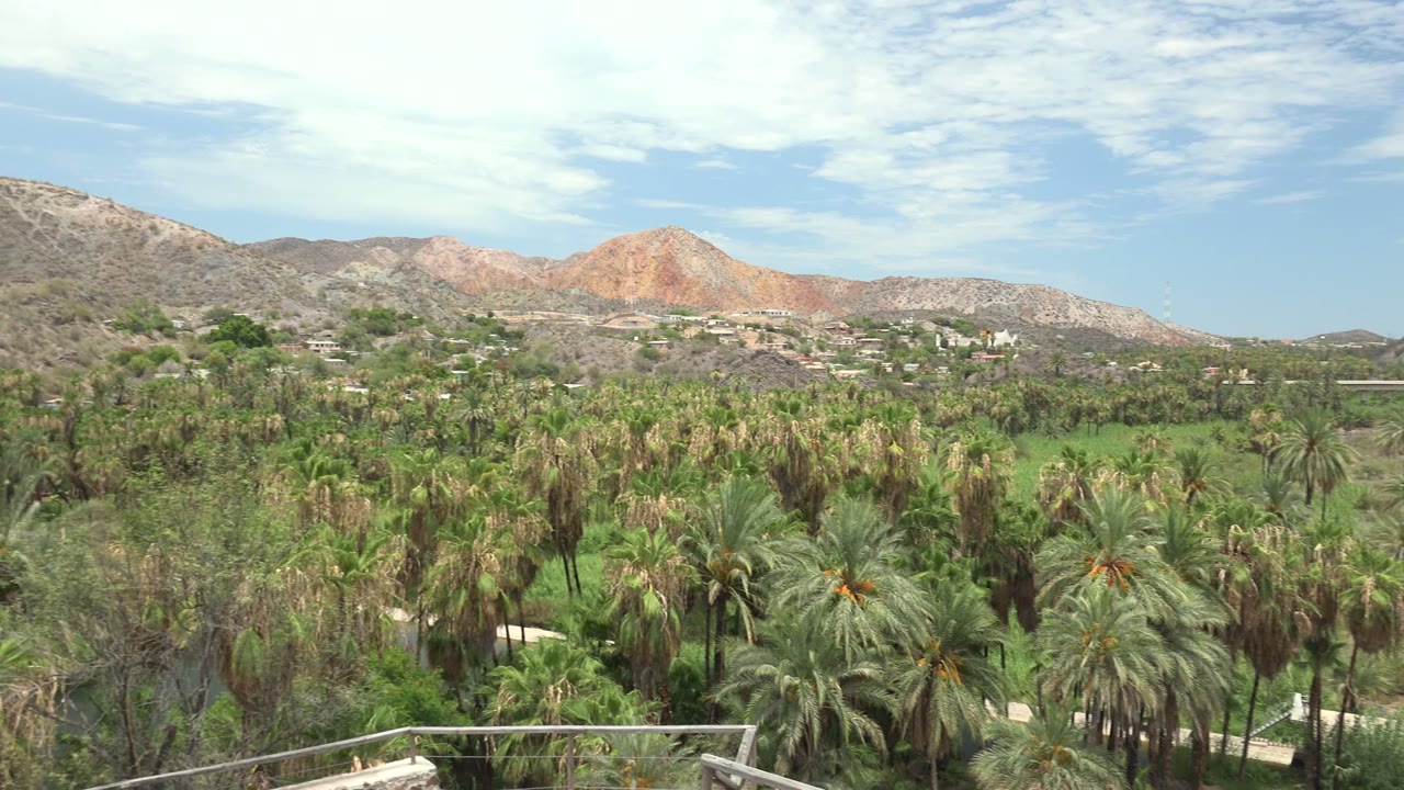 Wide Mulege view showing layered palms, a green river corridor, distant homes near the hills, reddish mountain slopes, and no visible people.